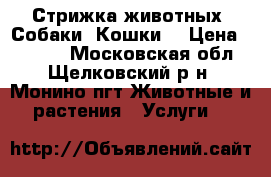 Стрижка животных (Собаки .Кошки) › Цена ­ 1 000 - Московская обл., Щелковский р-н, Монино пгт Животные и растения » Услуги   